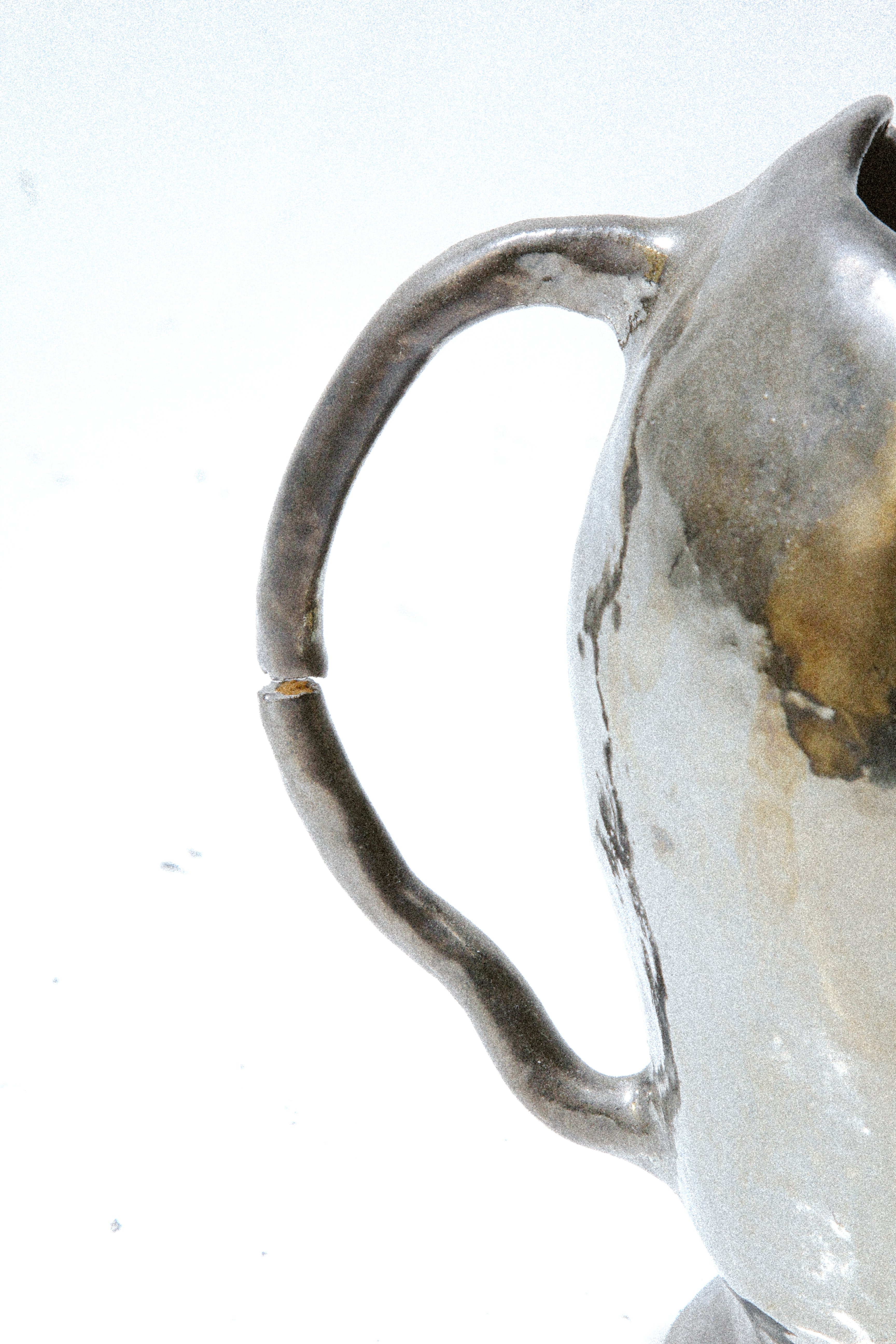 vaso espinho
