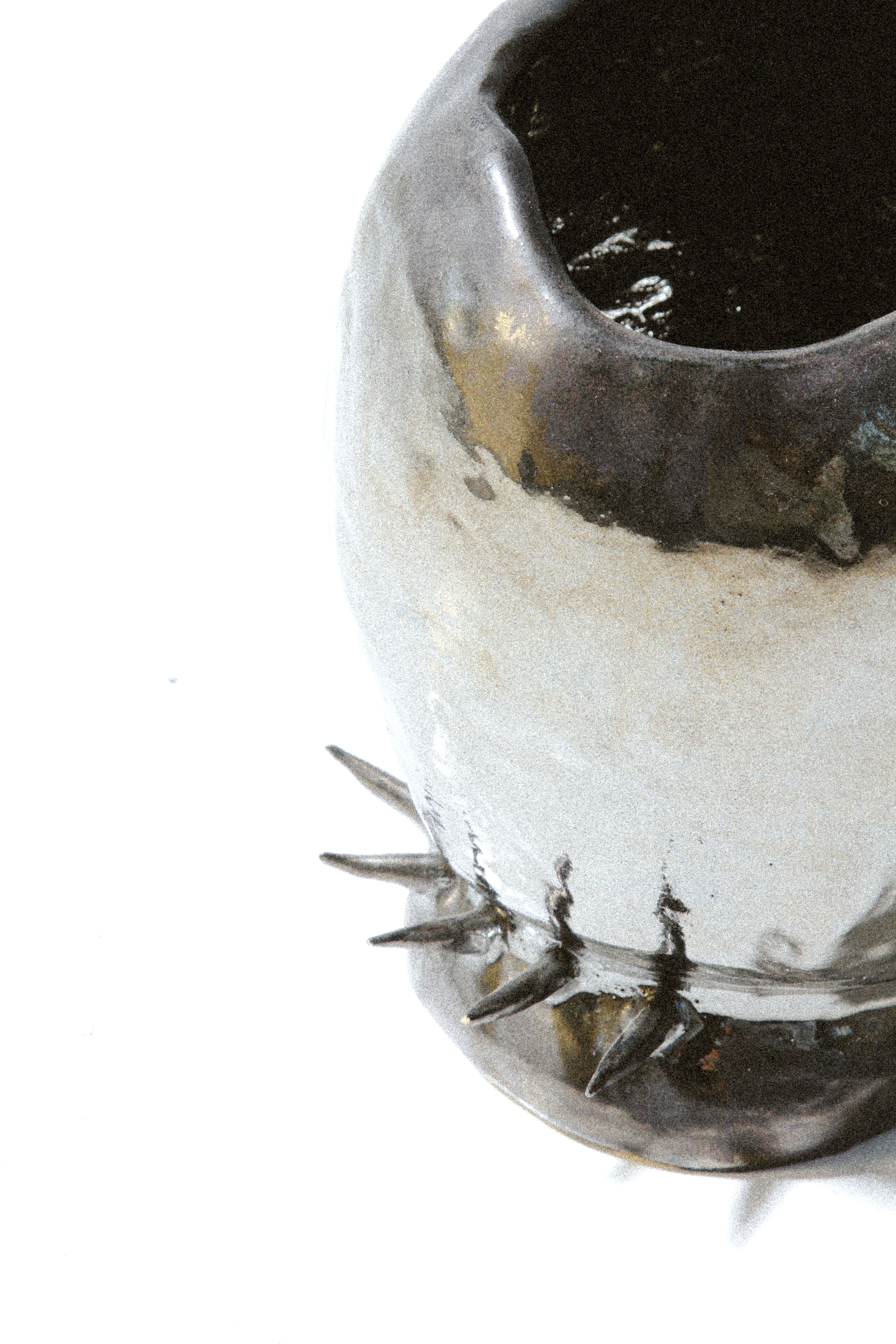 vaso espinho